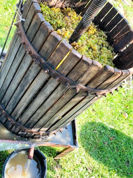 La-Marti, Idyllische Unterkunft Mit Kamin Bagdati エクステリア 写真